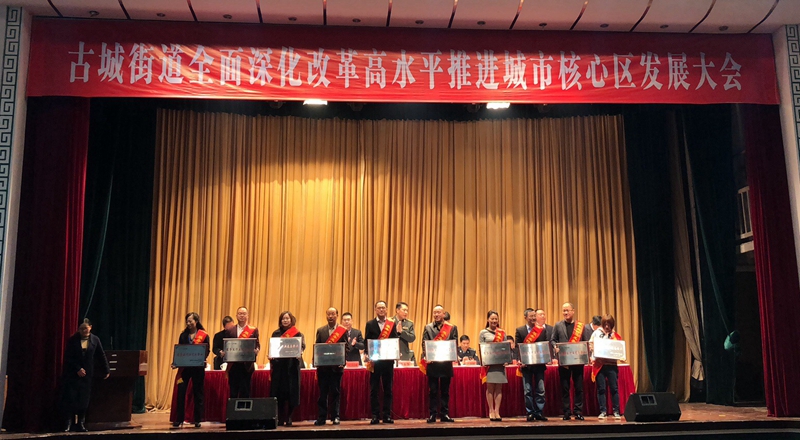 565net必赢客户端被评为2017年度服务业行业龙头企业，常务副总裁王盛被评为优秀共产党员