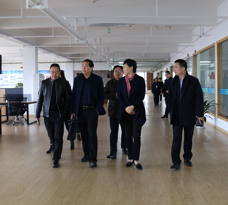 临海市副市长许黎野一行莅临东方永安（浙东）电商产业园指导工作