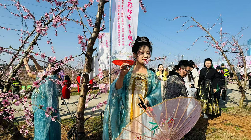 1742867282815.jpg 1742867282815.jpg